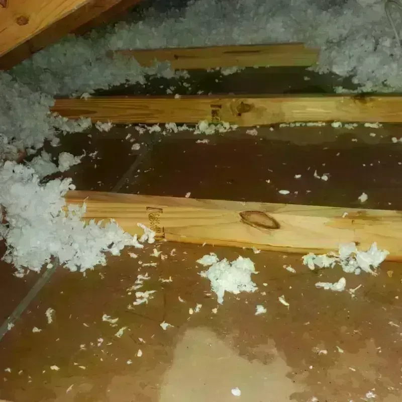 Attic Water Damage in Devine, TX