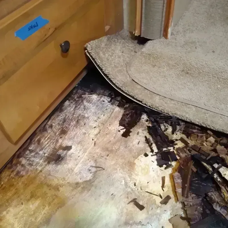 Best Wood Floor Water Damage Service in Devine, TX